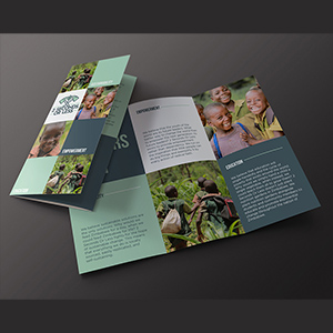 Tri-fold Brochure