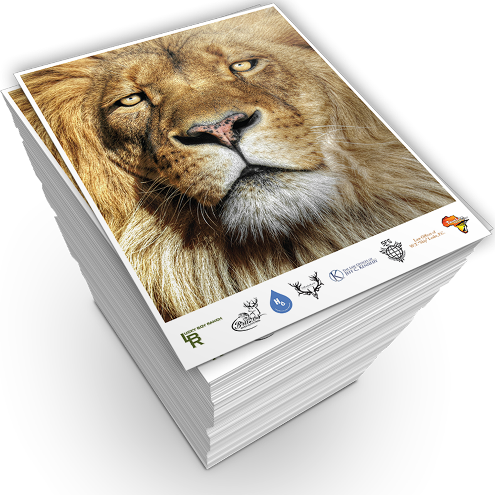 copies 1 8.5x11 Color Copies - Teacher Special
